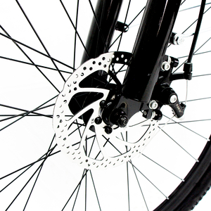 Disiyuan จักรยานไฟฟ้า48V 350W 24นิ้ว26นิ้วสำหรับผู้หญิงรถตู้ - Product Image 4