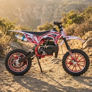 Mini moto de cross para niños con motor de 2 tiempos, motocicleta para jóvenes pilotos BY-047, motor de 2 tiempos potente y eficiente. - Product Image 1