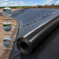 Géomembrane HDPE noire cloutée, haute résistance à la perforation, anti-corrosion, pour le stockage d'eau en réservoir et les travaux anti-infiltration