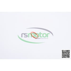 Bague d'étanchéité RS-100813 pour pièces de moteur de machines Jenbacher - Product Image 2