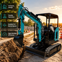 Envío Gratuito, Mini Excavadora de 2.5 Toneladas con Certificación CE EPA, Excavadora Pequeña Hidráulica Diesel con Orugas para Jardín, Granja y Construcción