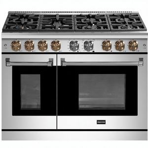 Four à convection professionnel à double fourneau à gaz avec plaque de cuisson en émail noir, grande surface de cuisson pour usage domestique - Product Image 1