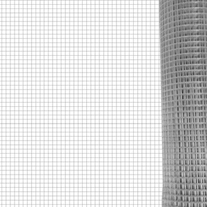 Kuş kafesi tavuk kalemler sıcak daldırma galvanizli demir kaynaklı tel tel örgü rulosu tavşan kafesleri iyi fiyat - Product Image 4