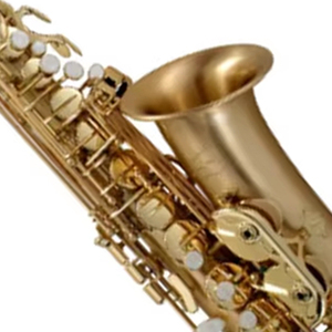 Sassofono Contralto P. Mauriat OEM di Alta Qualità in Ottone con Laccatura Dorata, Caratteristiche Regolabili ed Elegante Tonalità Eb <span class=keywords><strong>Le</strong></span> Bravo 200 Alto - Product Image 2