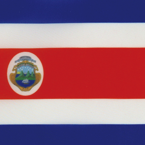 Bandera de <span class=keywords><strong>Costa</strong></span> Rica Material de lino de alta calidad para exteriores 12*18 pulgadas Más estilos para elegir - Product Image 4