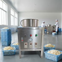 Machine à éplucher l'ail de grande capacité à haute efficacité pour usage commercial et domestique