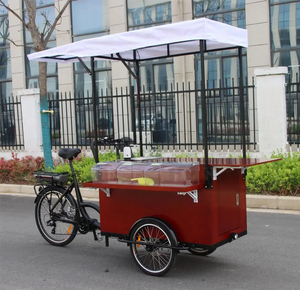 Travel Camping <strong>Camper</strong> 3 Wheel Sale Cargo Coffee Cart Food Cart Bicycle Mobile Outdoor Food Cart Tricycle for Food Business - Product Image 3