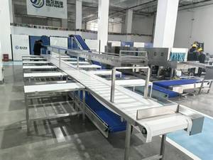 Convoyeur courbé pour la transformation de la viande destiné aux abattoirs, manipulation du porc et du bœuf - Product Image 2