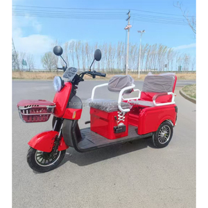 YINGWU Power-drive Utility <span class=keywords><strong>Trike</strong></span> Venta directa de fábrica Elegante Ocio <span class=keywords><strong>Trike</strong></span> <span class=keywords><strong>Smart</strong></span> Triciclos eléctricos Cómodo Seguro Durable - Product Image 1