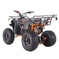 Tao Motor Automatique 12V 5AH Quad VTT 110 Personnalisé Tout-Terrain Double Roues Motrices Buggy de Plage Quadricycle Adulte