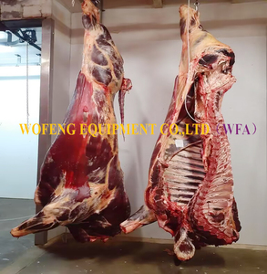 Máquina <span class=keywords><strong>de</strong></span> matanza <span class=keywords><strong>de</strong></span> vacas <span class=keywords><strong>de</strong></span> fácil instalación para procesamiento <span class=keywords><strong>de</strong></span> carne Halal, Riel <span class=keywords><strong>de</strong></span> transporte <span class=keywords><strong>de</strong></span> planta <span class=keywords><strong>de</strong></span> matadero <span class=keywords><strong>de</strong></span> ganado, <span class=keywords><strong>precio</strong></span> - Product Image 5