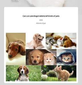 3 3/4F (13mm) A5 Klingenserie Clipper-Klingen Professionelle Tierhaarschneidemaschine Ersatz-Clipper-Klingen Petsign - Product Image 6