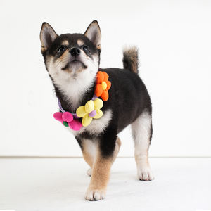 Kerah hewan peliharaan, aksesori hewan peliharaan Modern dapat disesuaikan kerah anjing dan kucing dengan bunga yang indah - Product Image 6