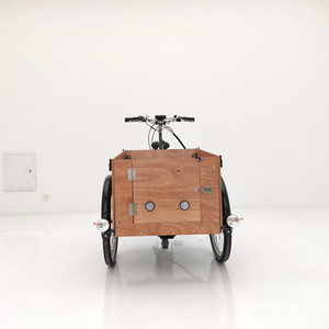 Porte avant ouverte <span class=keywords><strong>pour</strong></span> prendre le <span class=keywords><strong>chien</strong></span> vélo à trois roues vélo <span class=keywords><strong>cargo</strong></span> électrique moteur 250W vélo <span class=keywords><strong>cargo</strong></span> électrique - Product Image 5