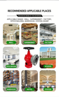 Hydrants d'incendie intérieurs durables et économiques sur mesure pour bâtiments commerciaux – Vente en gros