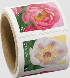 Rollo de 50 Sellos Permanentes de Flores Silvestres de Canadá, Sellos Postales de CA, Etiquetas de Envío, Rollo de Etiquetas de Embalaje para Correo Postal de Canadá - Product Image 1