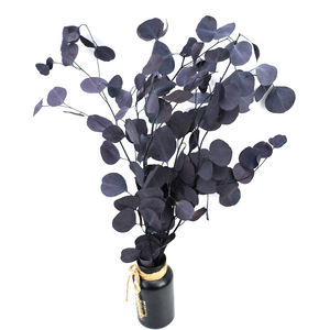 Nuevo follaje 2025 Forever Flower DIY plantas <span class=keywords><strong>de</strong></span> jardín hojas <span class=keywords><strong>de</strong></span> eucalipto preservadas para Arreglo <span class=keywords><strong>de</strong></span> decoración Interior del hogar DIY - Product Image 4