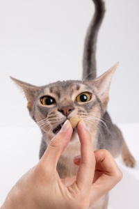 Pastillas Lovovidovi para la Eliminación de Bolas de Pelo en Gatos, Reductor de Fel D1 para el Cuidado de la Salud Intestinal y Digestiva Felina, 180 Unidades - Product Image 6