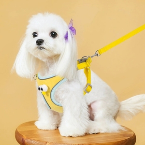Satu Set tali dan kekang anjing gaya mata besar kartun imut modis baju anjing Teddy Bichon rompi anjing kecil <span class=keywords><strong>Harness</strong></span> grosir - Product Image 6