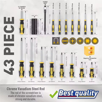 Ensemble d'outils à main professionnels 43 pièces, tournevis magnétique et kit de embouts de précision en acier au chrome-vanadium, avec boîte de rangement pour travaux de réparation