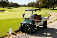Carrito de Golf Todoterreno A827.H8G con Material de Panel Exterior Ignífugo, Puede Estacionarse en la Área de Actividades con Fogatas