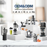 Extracteur de jus électrique 350 ml en acier inoxydable à pression à froid, moteur DC, mastication lente, faible bruit, éjection automatique des pulpes, nettoyage facile, pour la maison