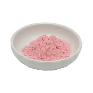 Large Supply Food Grade Freeze Dried Fruit Juice Strawberry Pink Powder of Good Quality with Nice Price