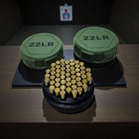 Boîte de rangement pour munitions 22 LR PLA, étanche, anti-humidité, portable, accessoire tactique et de chasse pour l'extérieur, avec boîte à munitions 9MM