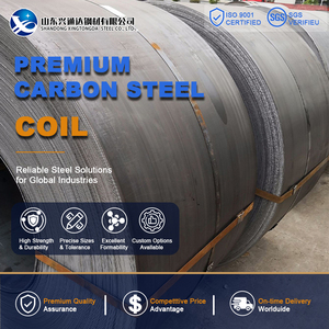 Welding SS400 S355JR Hot Rolled Annealed 2mm 1250mm Shearing ASTM A1011 Carbon Steel Coil for Shipbuilding - Product Image 1