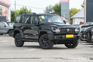 Vente chaude 2025 2024 Nouveau GreatWall Tank 300 <span class=keywords><strong>voiture</strong></span> à essence Compact SUV Chine Véhicule 5 portes 5 places - Product Image 3