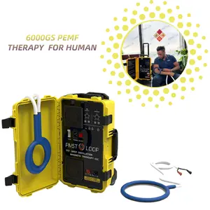 Cenmade 최신 자기 요법 자기 치료 장치 PMST 루프 재활 장비 물리 치료