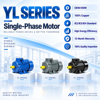 Moteur monophasé BIOTE YL100L1-4 3HP 2.2kW 220V 60Hz 1800RPM, moteur électrique asynchrone à induction AC pour moulin à céréales et à riz