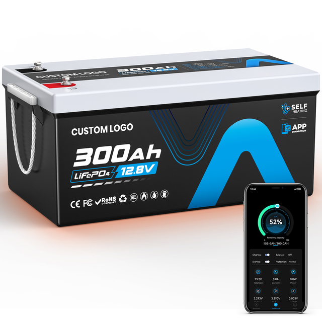 12V 300ah Self-heating Lifepo4 Battery Camper Van 12V 100Ah 200Ah 460Ah Bluetooth Lithium Battery RV Solar Storage Systems