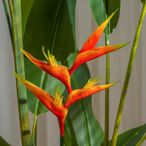 Haute Qualité Artificielle Oiseau Paradis Arbre Plantes Vertes Polyéthylène En Plastique Lâche Queue Atterrissage pour Pâques Salon Décor - Product Image 3