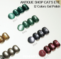 Esmalte de Uñas Magnético en Gel de Ojo de Gato de Alta Pigmentación, Semipermanente, con Logotipo Personalizado, Proveedor Mayorista de Tendencia