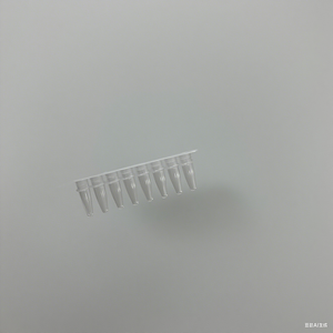 <span class=keywords><strong>PCR</strong></span> şerit tüplerini temizleyin, moleküler biyoloji deneyleri için 8 bağlı <span class=keywords><strong>PCR</strong></span> tüpleri - Product Image 1