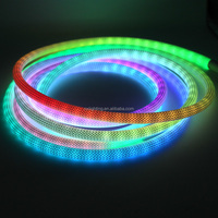 Bande lumineuse LED flexible en néon, RGB adressable tressé, 360 degrés, WS2812B, 5V USB, ronde, souple