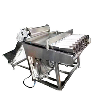Bosbessen Sorteermachine Lychee Abrikozendata Blueberry Lineaire Weegverpakkingsmachine Lijn