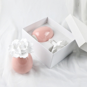 Bán Buôn Nhà Hương Liệu Thơm 100Ml Chai Gốm Sứ Hoa Hương Thơm Thạch Cao Hương Thơm Tinh Dầu Sậy Khuếch Tán - Product Image 6