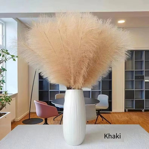 Mini <span class=keywords><strong>Fiori</strong></span> Artificiali in Seta di Pampas Reed 55cm Stile Bohémien Decorazione Casa Vendita Diretta Fabbrica Matrimonio Festa della Mamma Laurea - Product Image 5