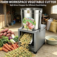 Ligne de traitement des légumes en acier inoxydable multi-usages facile à nettoyer, fournie par l'usine, avec broyeur d'aliments pour la fabrication d'aliments pour animaux