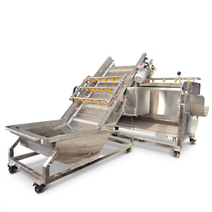 Machine à laver le gingembre haute pression, ligne de nettoyage du gingembre, trancheuse à oignon et gingembre, machine à laver et à peler - Product Image 1