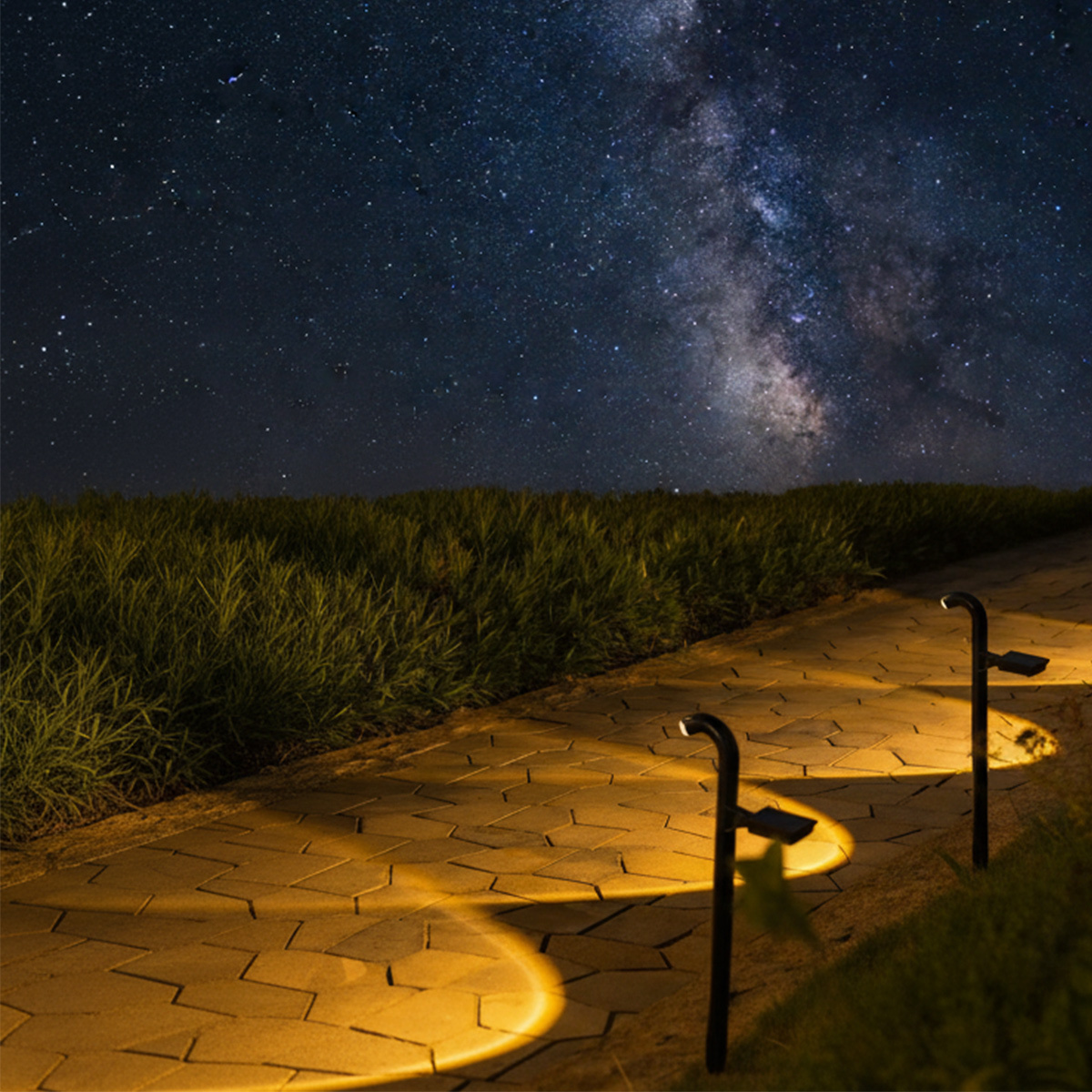 3000K Warm White Solar Pathway Spotlight LED Automatic Outdoor Landscape Lighting Waterproof Yard Deco Lamp