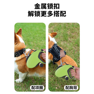 Laisse rétractable automatique pour chien, 10m, verte et noire, pour animaux de compagnie de grande, moyenne et petite taille, en matériau ABS, accessoires pour animaux de compagnie - Product Image 4