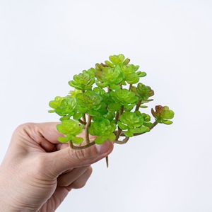 CallaFloral Plante succulente artificielle miniature pour décoration de mariage, artisanat, plastique vert, décoration intérieure et extérieure, 24 cactus fourchus - Product Image 2