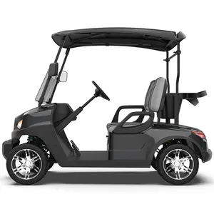2024 CE Hot Sale Cheap Seater Club Car Electric Golf Carts