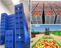 Palette en plastique industrielle durable 1200x1000mm pour le stockage des fruits et la logistique en promotion