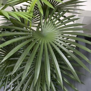 Palmo artificiale di plastica ad alta simulazione di 1.5m per la decorazione del negozio dell'ufficio del giardino di casa - Product Image 4