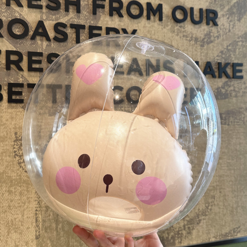 BLN New 40cm PVC Transparent Inflatable