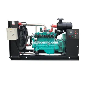 30kw 50kw 80kw 100kw 200kw 300kw 500kw Natural Gas Electric Power Generator Powered By Cummins China